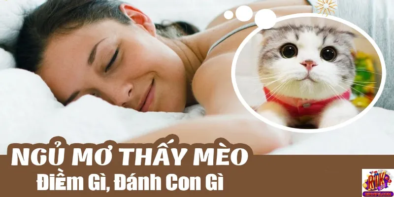 Hàm ý của việc nằm mơ thấy mèo