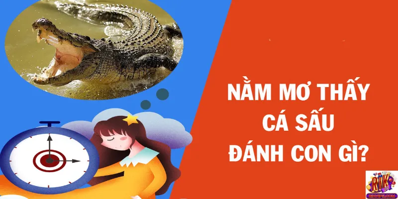 Mơ thấy cá sấu đánh số bao nhiêu?