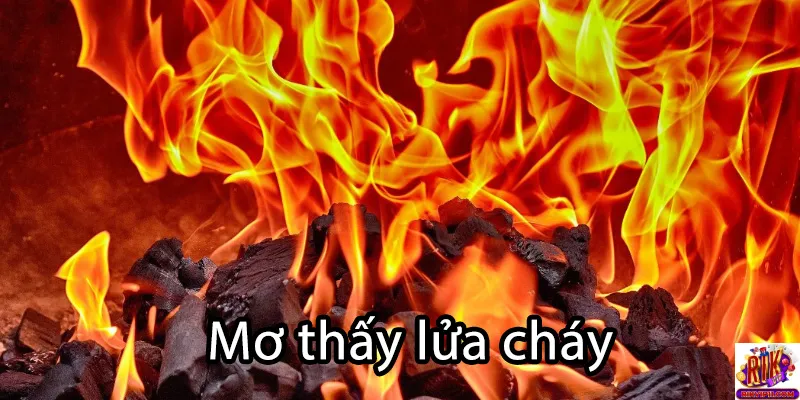 Mơ thấy lửa cháy công ty